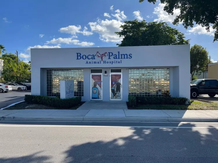 Boca Palms Animal Hospital, Florida, Boca Raton